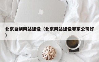 大庆北京自制网站建设（北京网站建设哪家公司好）