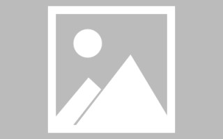 大庆关于网站建设免费（关于网站建设免费的通知）